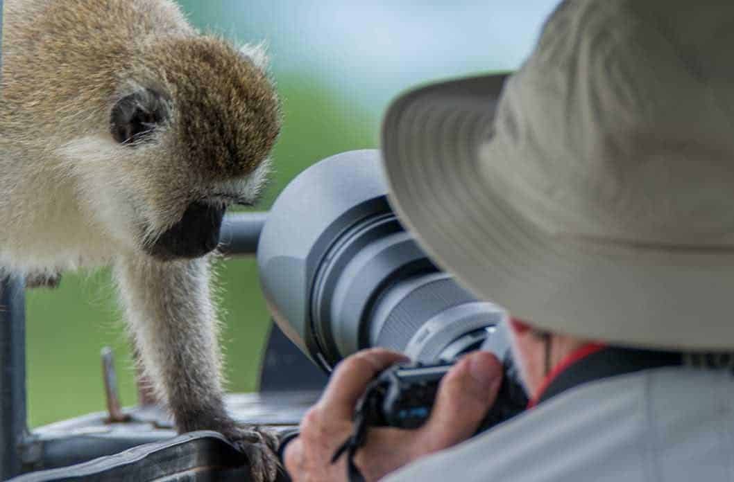 Best vehicles and routes for wildlife photography in Rwanda — Akagera game drives, gorilla trekking, Nyungwe birding and the right gear setup for photographers.
